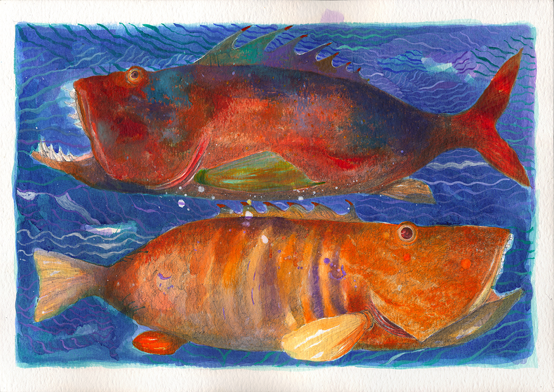 Stampa – Litografia Pino Procopio – Lukunga